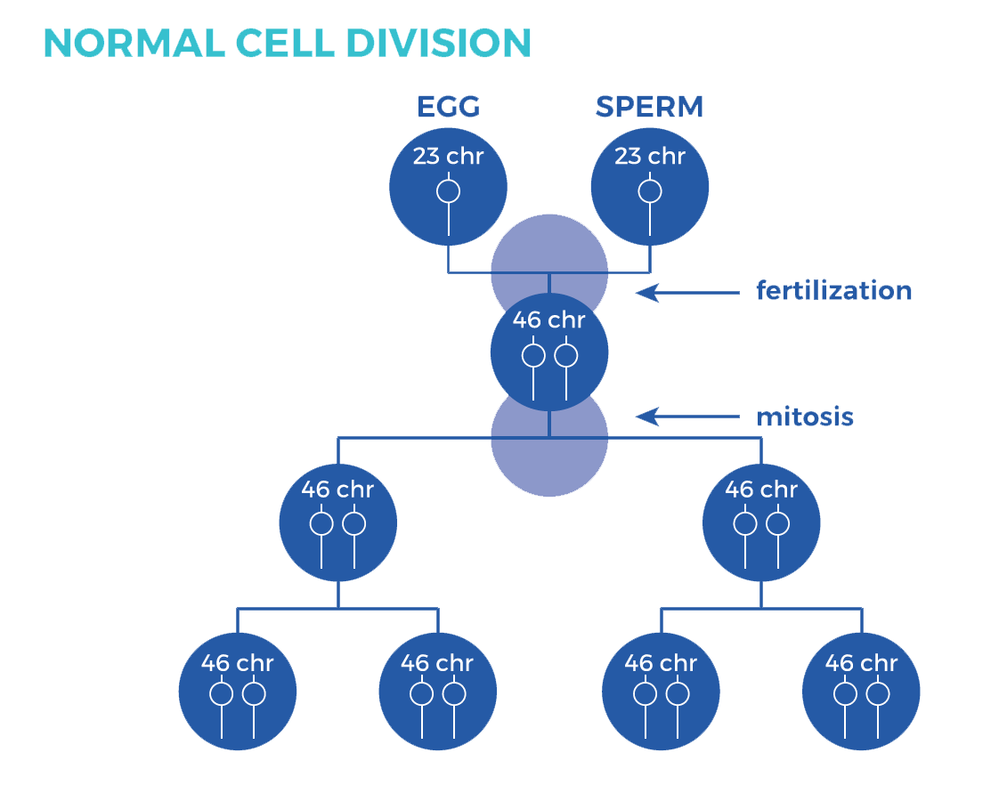 three chromosomes disorder